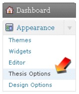 Thesis Options- WordPress外贸B2B网站建设 | WP外贸SOHO建站