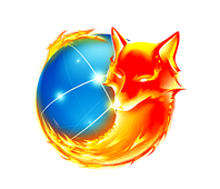 Firefox Web Developer 使用指南视频 - WordPress外贸B2B网站建设 | WP外贸SOHO建站